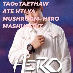 DJ K9 TAOoTAETHAW ATE HTI YA MUSHROOM  - H3RO MASHUPEDIT - Copy