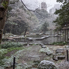 Take Me Back to Simpler Times