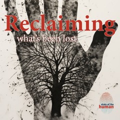 Reclaiming What's Been Lost