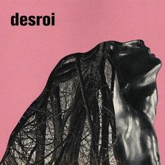 MNMT Premiere: Desroi – Gauze Covers Flaw