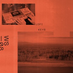 WS08 - LoFi Keys