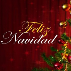 Feliz Navidad 2024 - DJ Party