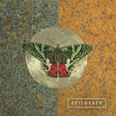 Echolocate - seeing with sound