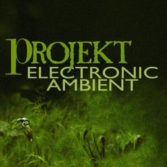 Projekt: electronic & ambient