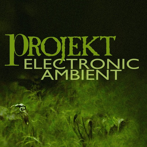 Projekt: electronic & ambient