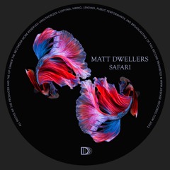 Matt - Dwellers - Safari [Desfase Records]