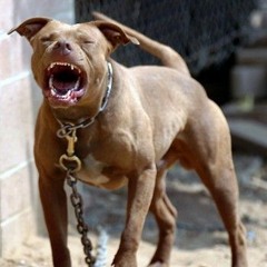 (FDG) TKAYY STAxX- DIGITS