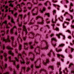 leopard fur