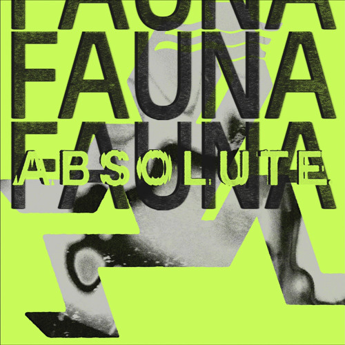 Fauna