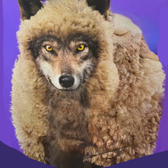 A Wolf In Sheep’s Clothing