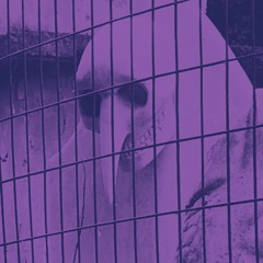 For est•MetalSlang•