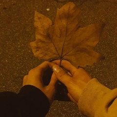 I hate Fall (Peril)