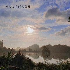 Multitude - Thief of Joy