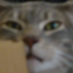 Goyderhead - 101224, 6.46 PM