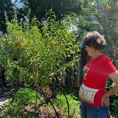 My Visit to a Medford Food Forest Garden