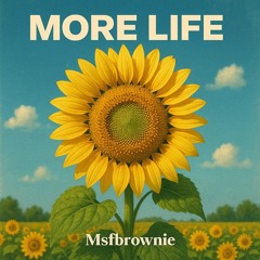 Msfbrownie - More life.m4a