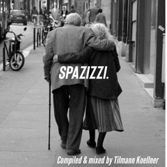SPAZIZZI by Tilmann Koellner