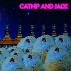 Catnip And Jack 2020 mix(read DISC please!!!!)