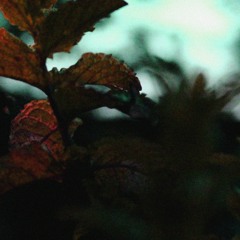 Atlis & Afloat - Afterglow