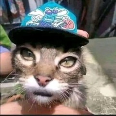 envidios plastas culiasss.mp3