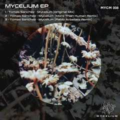 Tomas Sanchez - Mycelium (Original Mix) [Mycelium]