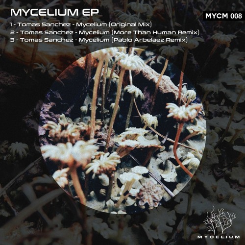 Tomas Sanchez - Mycelium (Original Mix) [Mycelium]