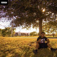 Normal Girl - Rollins