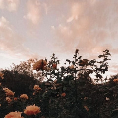 light on - maggie rogers (slowed)