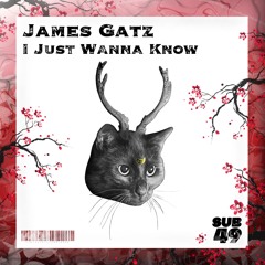 JAMES GATZ | I JUST WANNA KNOW