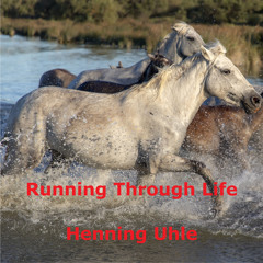 Running Through Life (Radio Edit)