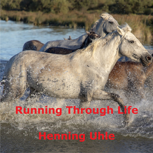 Running Through Life (Radio Edit)