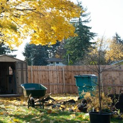 188 - November Garden Checklist