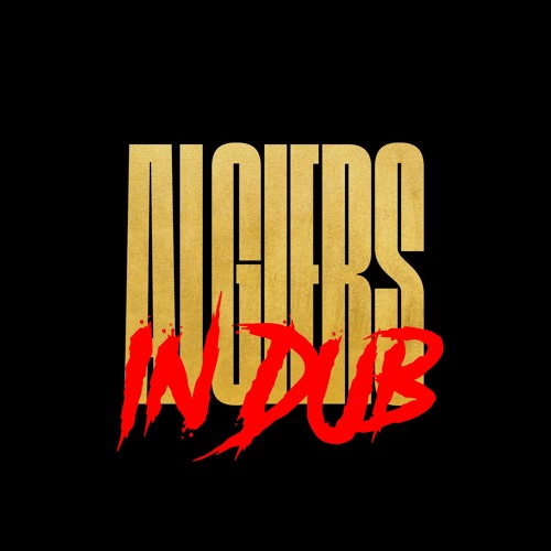 Algiers - Irreversible Damage (ft. Zach De La Rocha) (Obeah & P Birladeanu Dub) #algiersgotshook