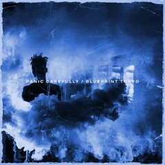 Panic Carefully [Single]