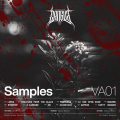 VA01 SAMPLES TAPE  SIDE A