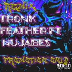 Tronk- Feather (Nujabes Remix) PROMOTION ONLY