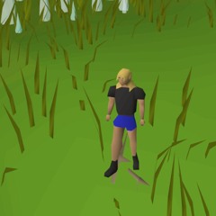 Varrock Jorts 4 (taylor as well as morgan)
