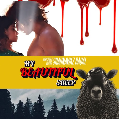 BGM of MY BEAUTIFUL SHEEP (feat. Rufy Khan & LOKESH KUMARI SHARMA)