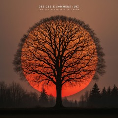 The Sun Never Sets In Dakar