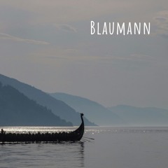 Blaumann @ Import Export 28.03.25 [Peaktime / Psytechno]