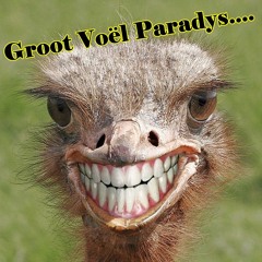 Groot Voël Paradys.....