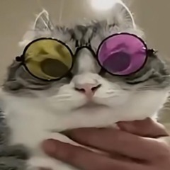 Spamton but he’s still a BIG SHOT