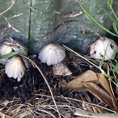 dnt wait 4 me prod me