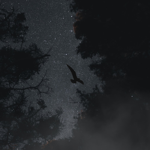 BRICKBANSHRTY - SPACE [P. SOSSA x KID ANGEL]