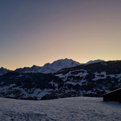 Late year mix (dec 2024)