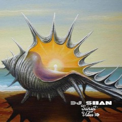 "SUNSET VIBES" (partII) by DJ SHAN