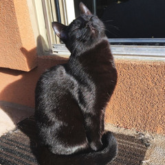 Mereba - Stay Tru (Slowwed)