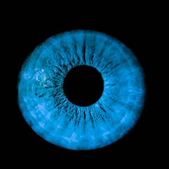 all I see