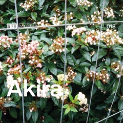 018 - Akira