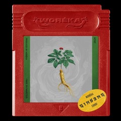 E • X Series 005 | Woréka - G 1 N S 3 N G